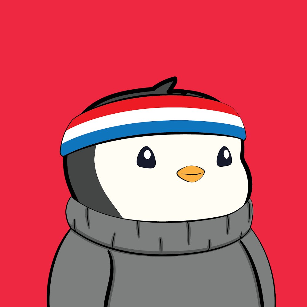pudgy penguin with red background, red/white/blue headband and grey sweater